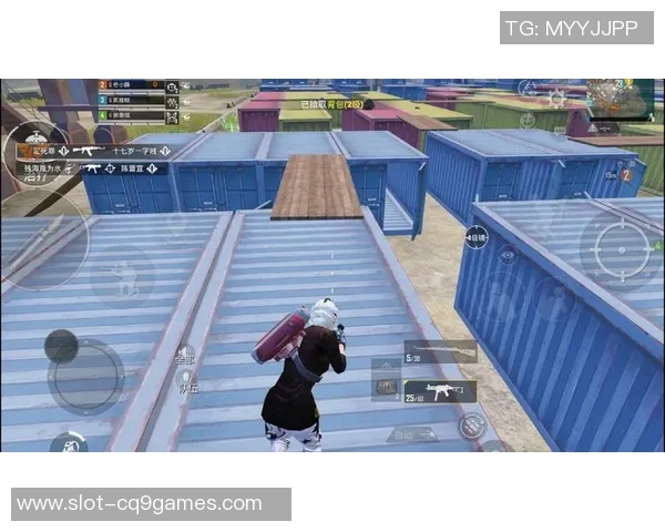 从零开始掌握和平精英技巧与策略全解析助你成为游戏高手